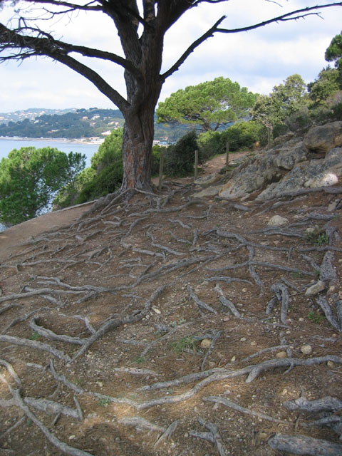 LesTroisCaps_photo005