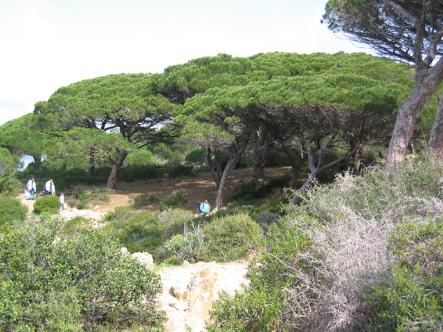 LesTroisCaps_photo008