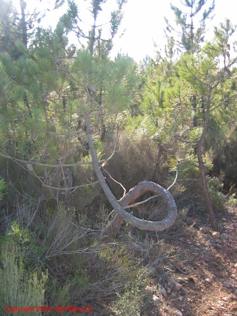 ColPierreCoucou_Photo026