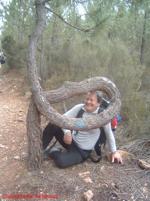 ColPierreCoucou_Photo032