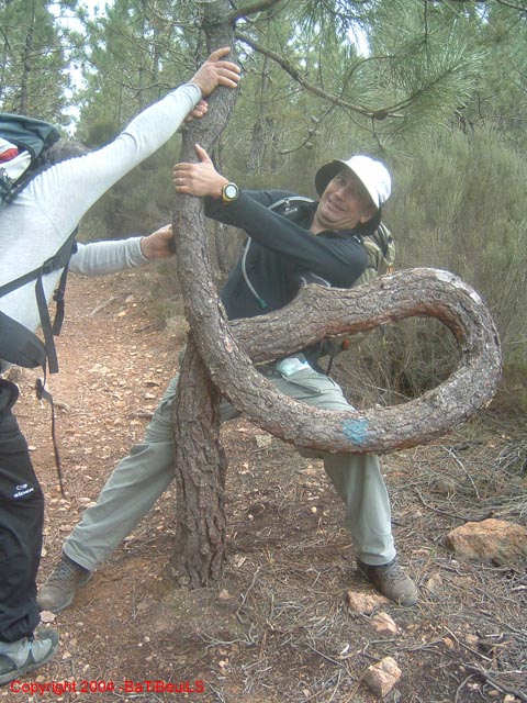 ColPierreCoucou_Photo033