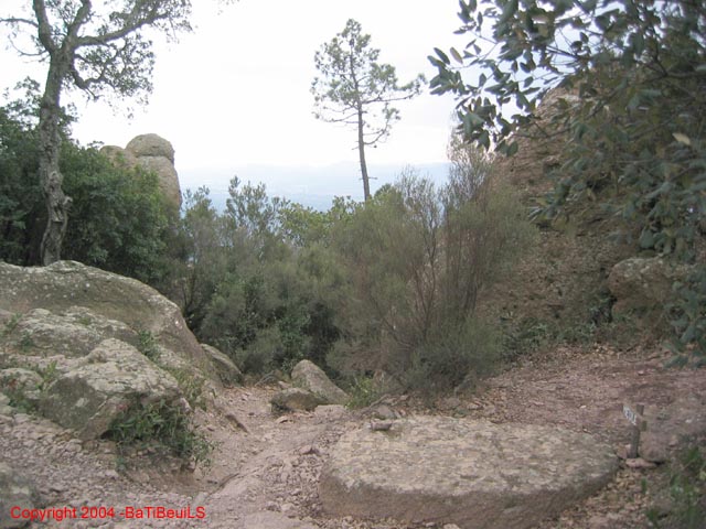 ColPierreCoucou_Photo038