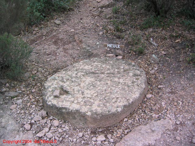 ColPierreCoucou_Photo039