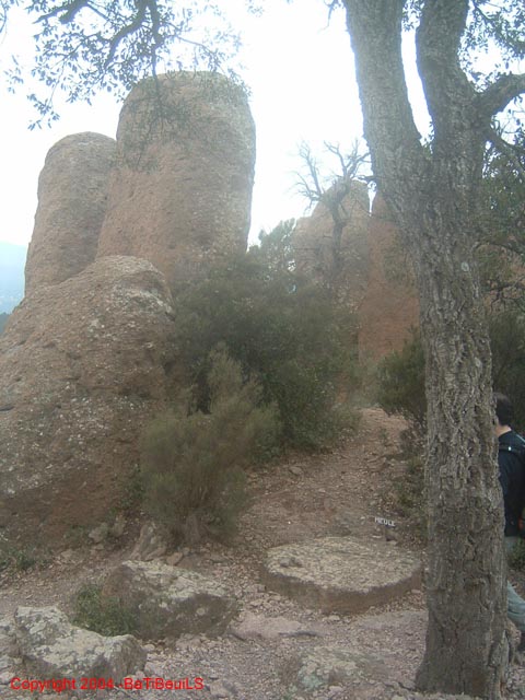 ColPierreCoucou_Photo044