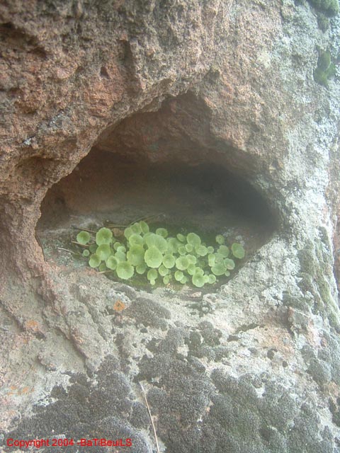 ColPierreCoucou_Photo046