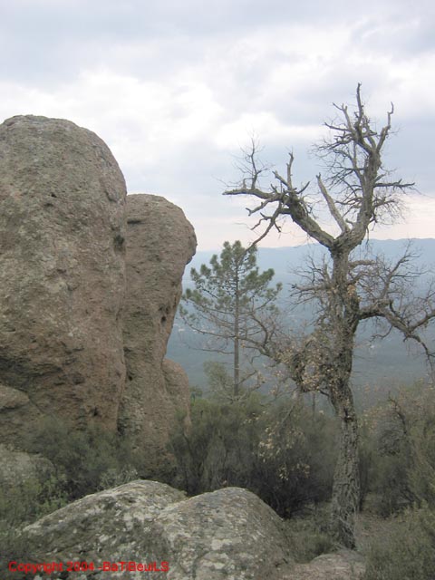 ColPierreCoucou_Photo050