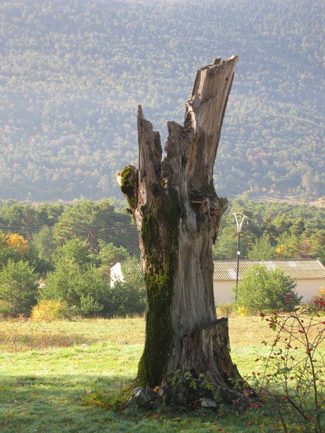 CreteDuBauroux_Photo_004