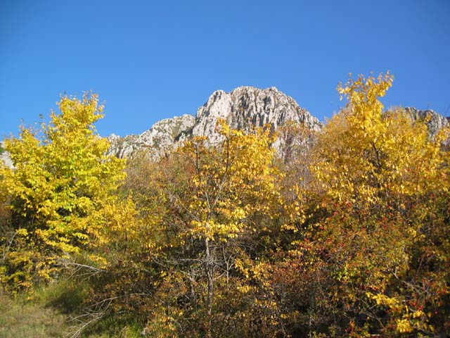 CreteDuBauroux_Photo_008