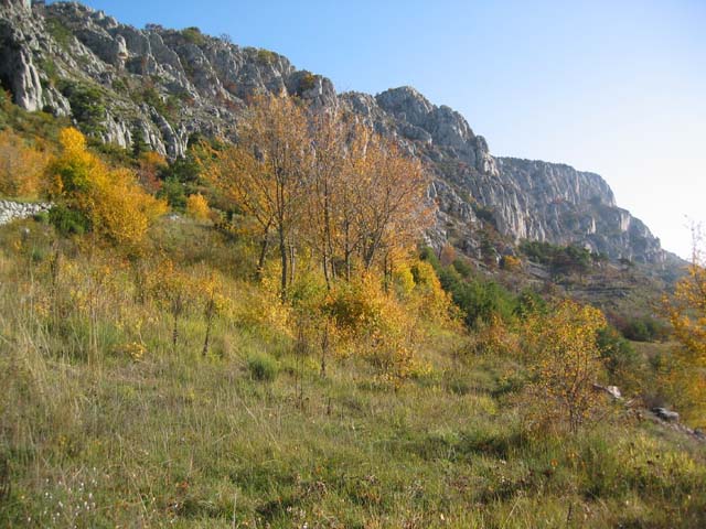 CreteDuBauroux_Photo_011