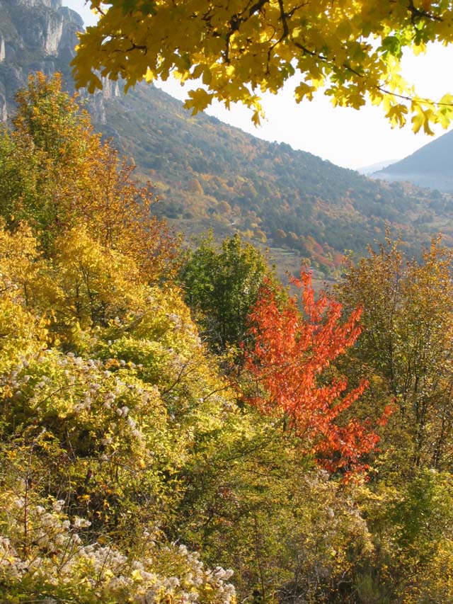 CreteDuBauroux_Photo_020