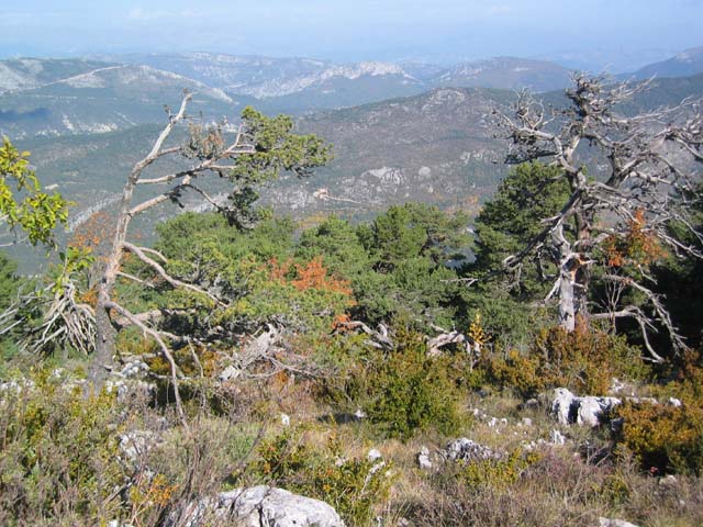 CreteDuBauroux_Photo_030