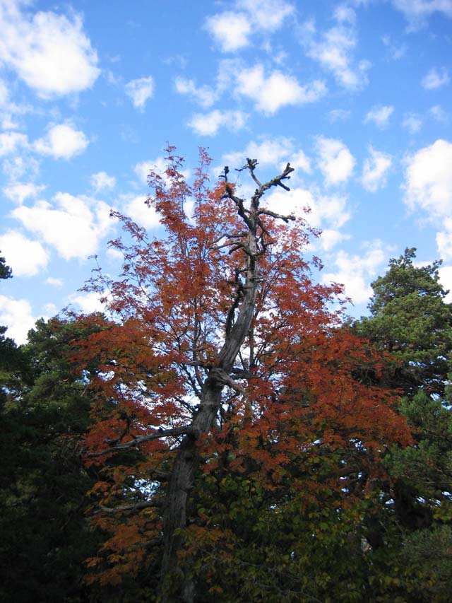 CreteDuBauroux_Photo_042