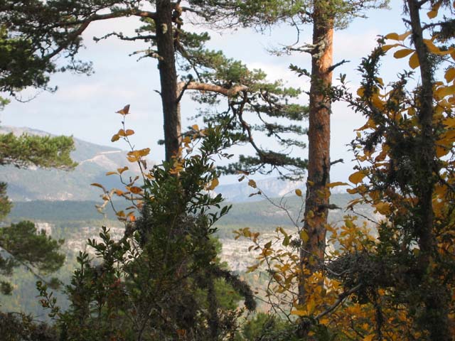 CreteDuBauroux_Photo_056