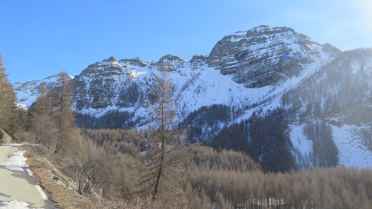 Bernard S (samedi 3) 05