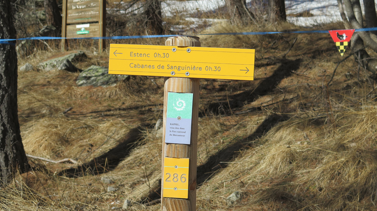 Bernard S (samedi 3) 08