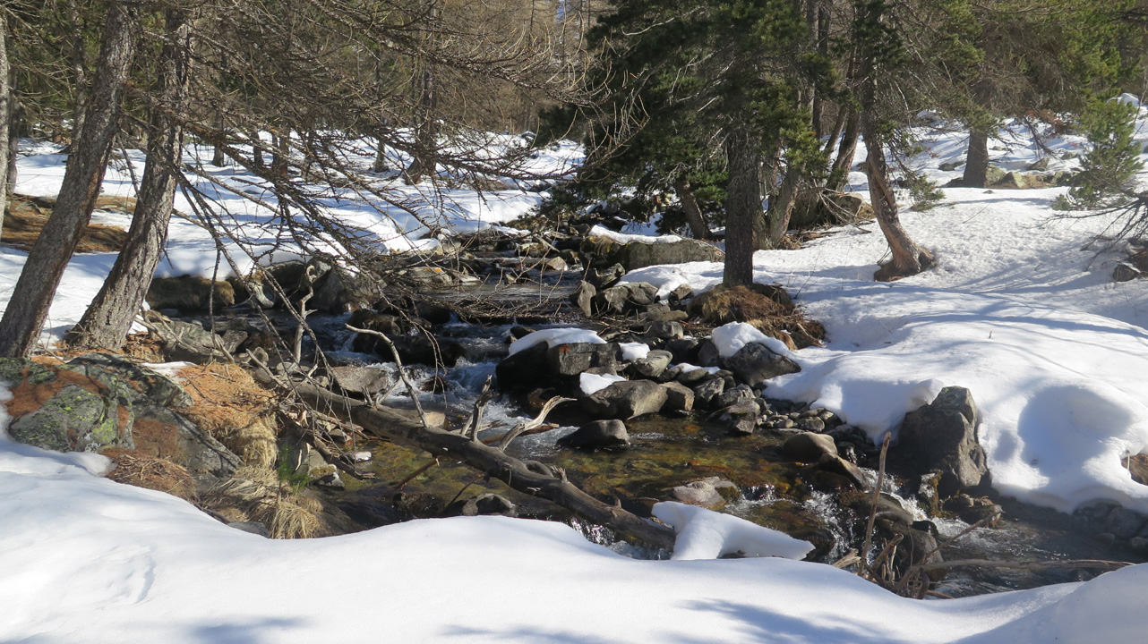 Bernard S (samedi 3) 11