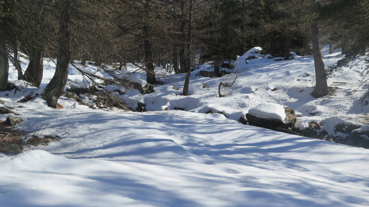 Bernard S (samedi 3) 13