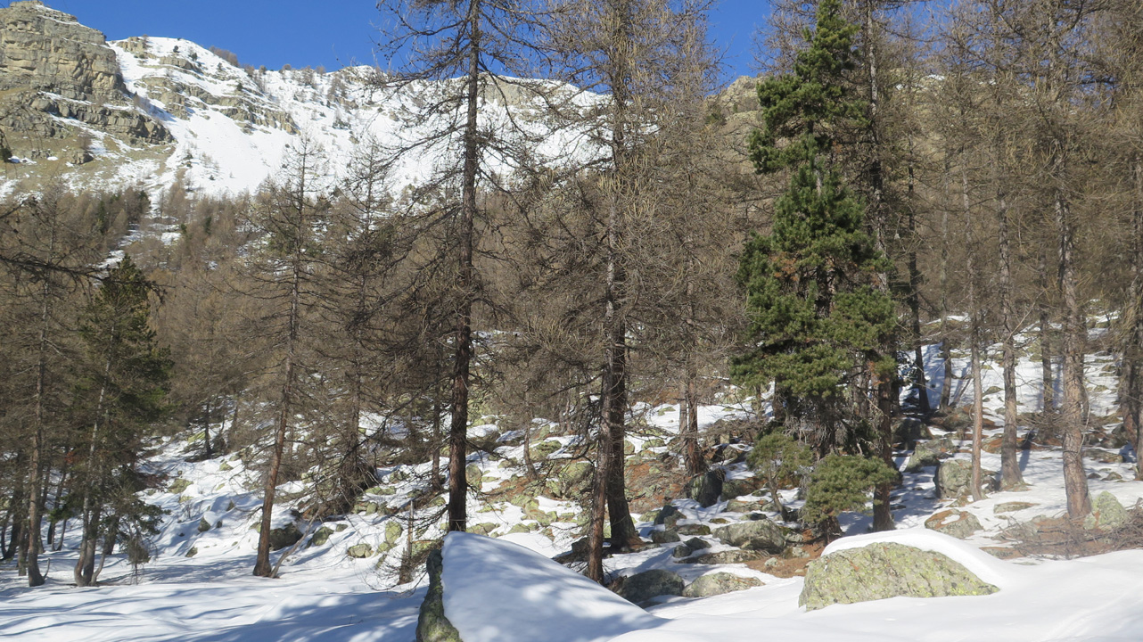 Bernard S (samedi 3) 14