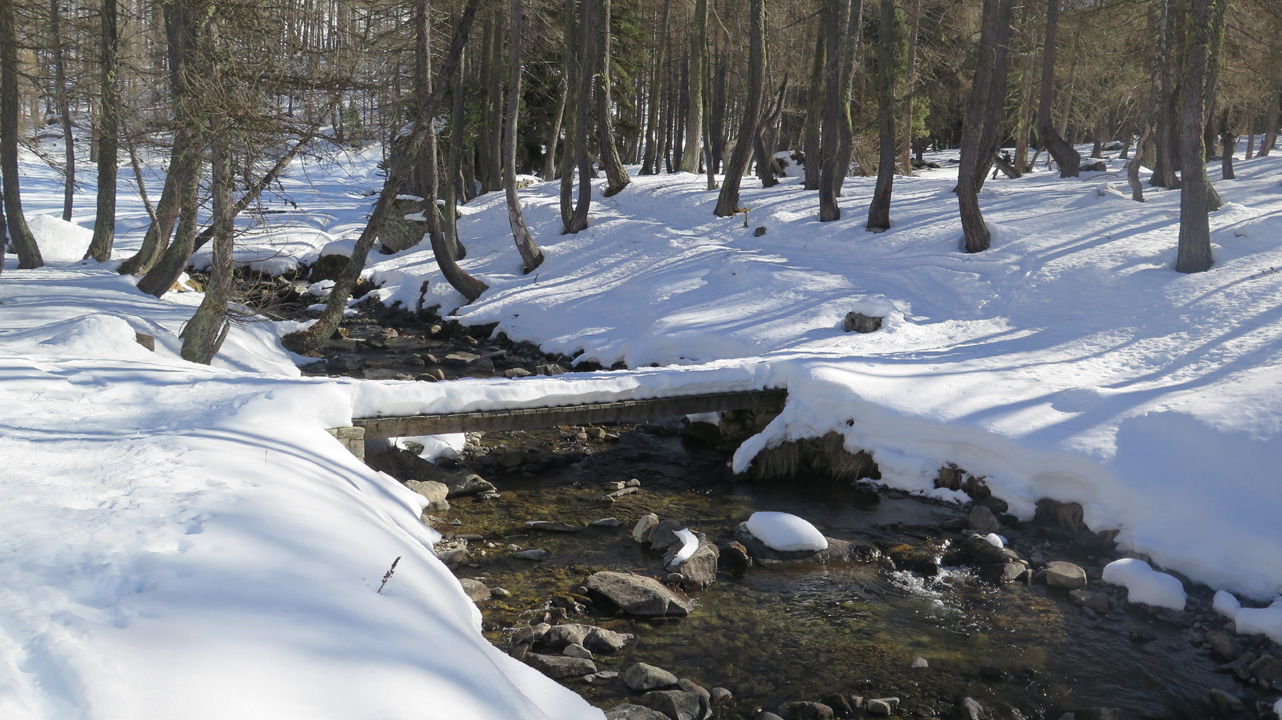 Bernard S (samedi 3) 21