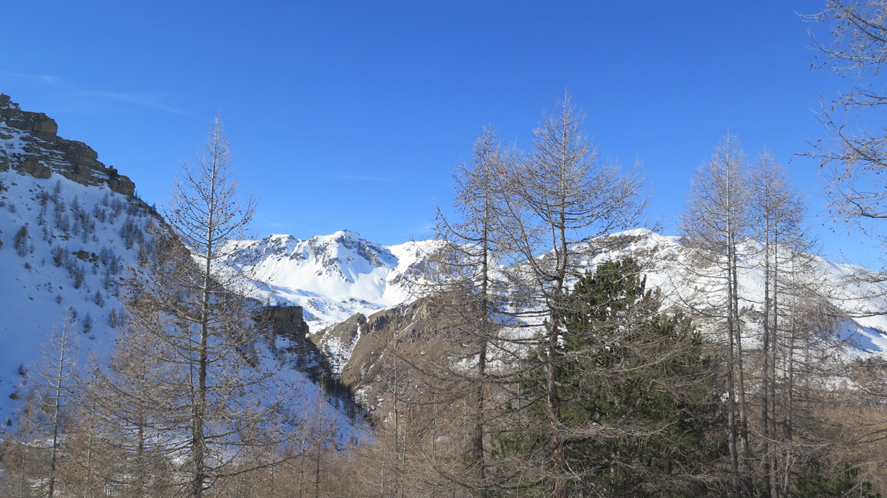 Bernard S (samedi 3) 22