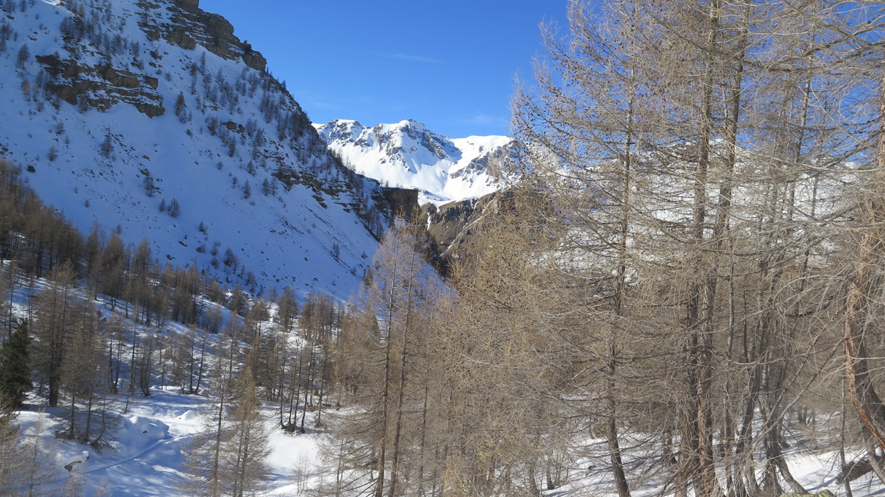 Bernard S (samedi 3) 24