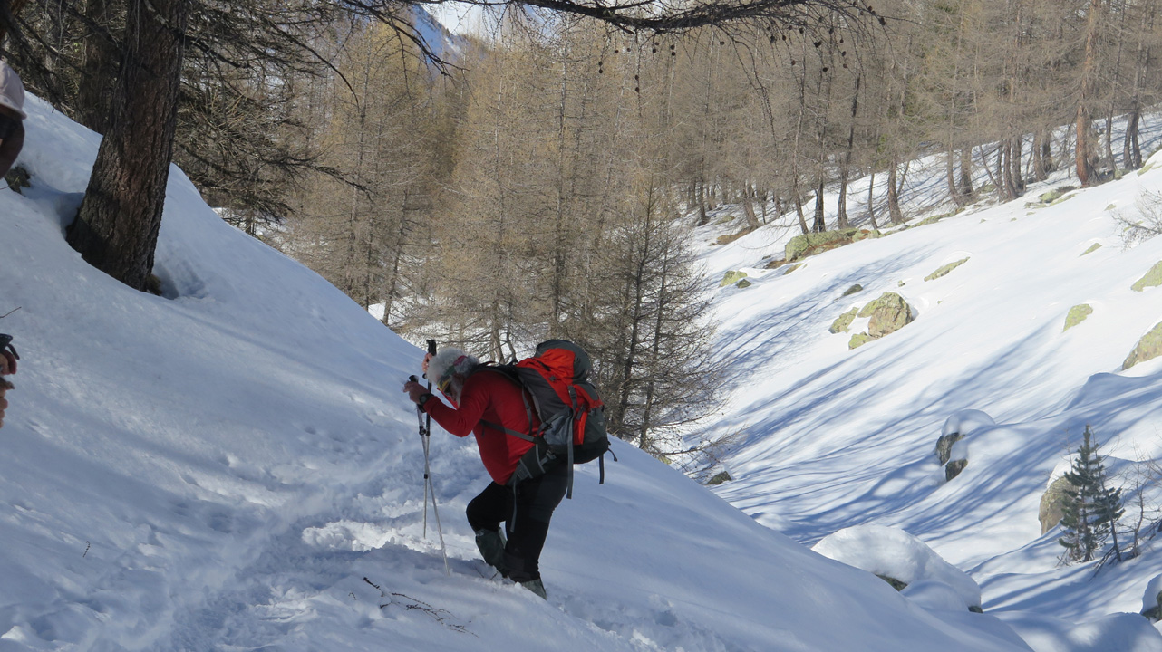 Bernard S (samedi 3) 25