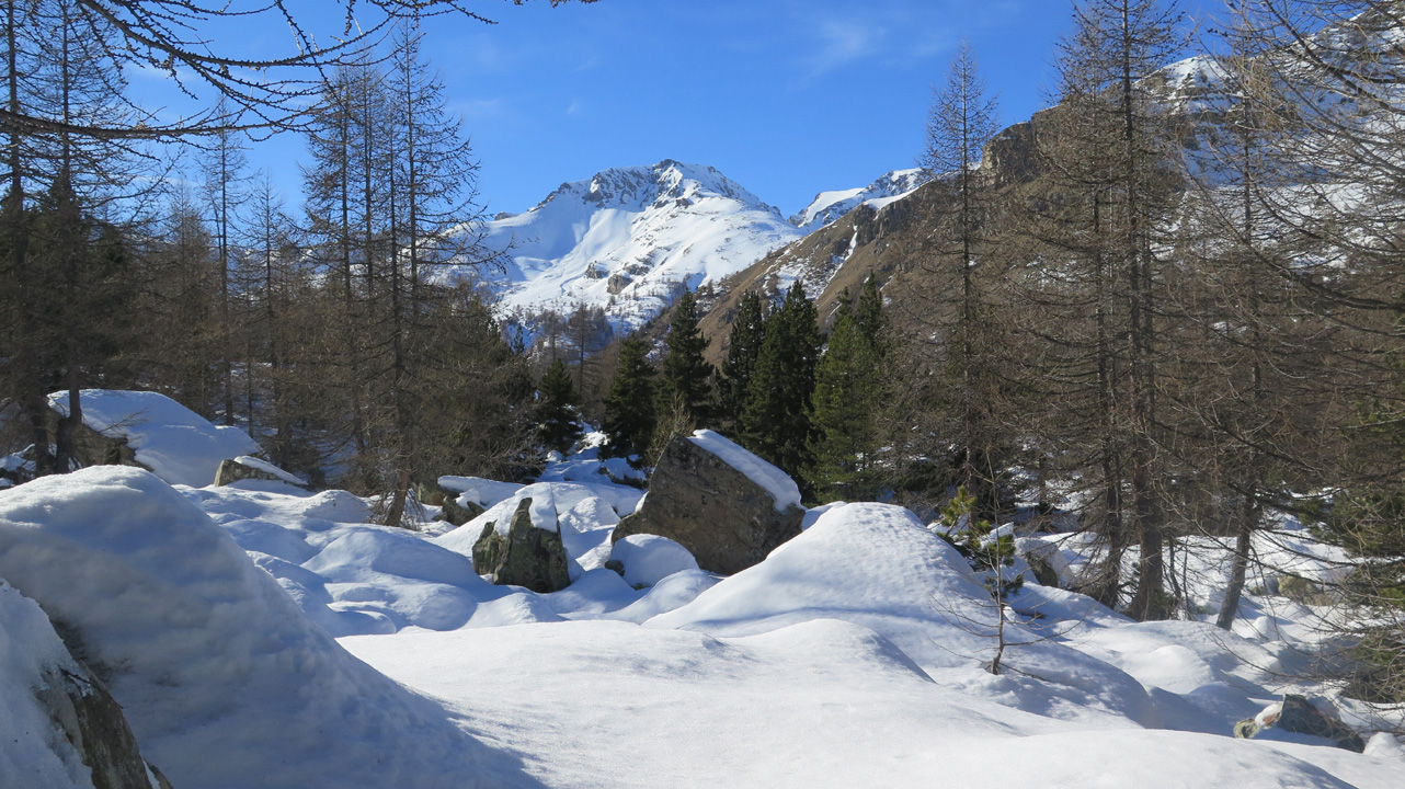 Bernard S (samedi 3) 28