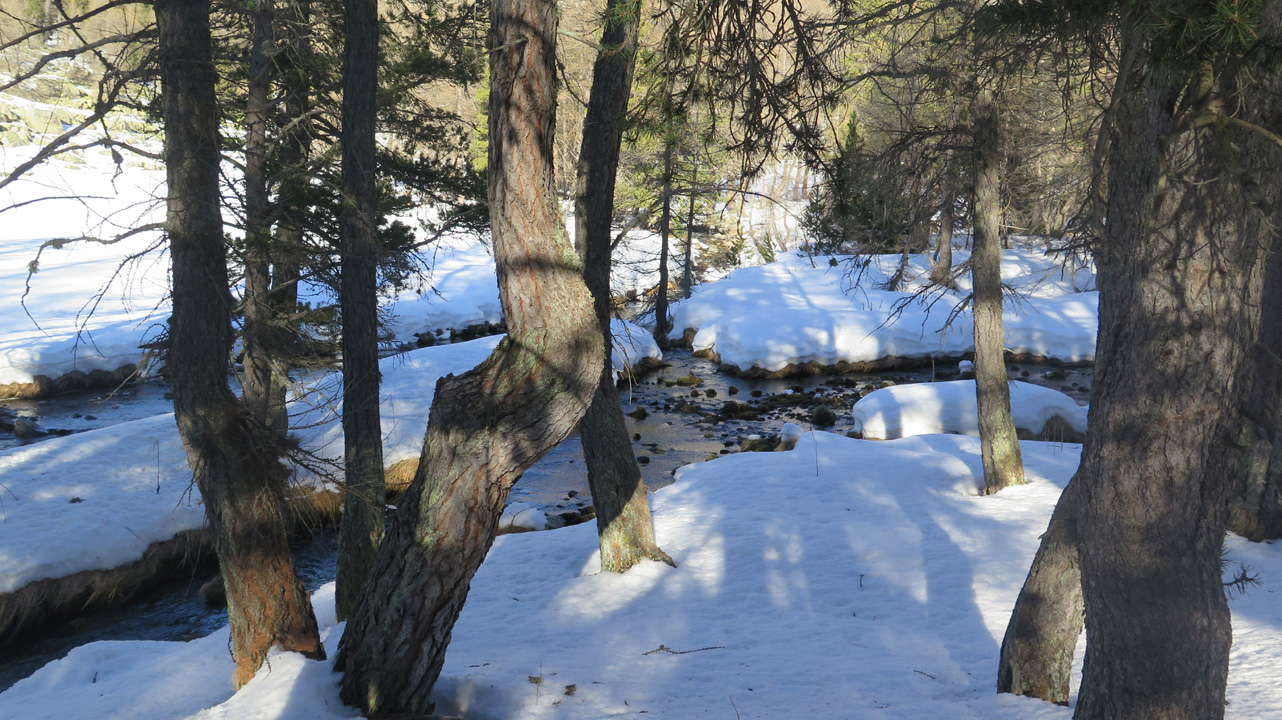 Bernard S (samedi 3) 29